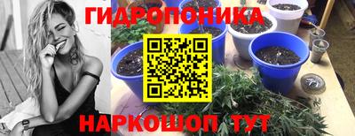 молекула духа Бузулук