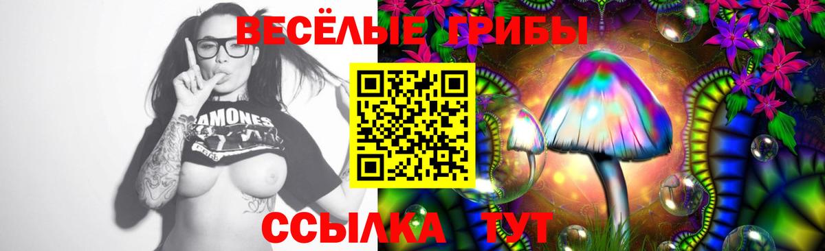 Псилоцибиновые грибы Magic Shrooms  Вход с VPN  Псилоцибиновые грибы мухоморы  Назарово 