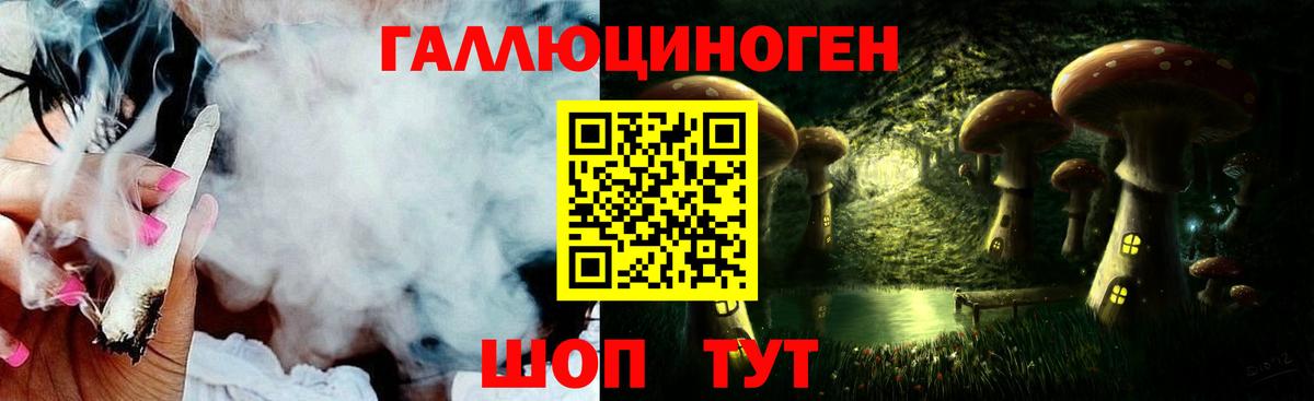 Псилоцибиновые грибы Psilocybine cubensis Назарово